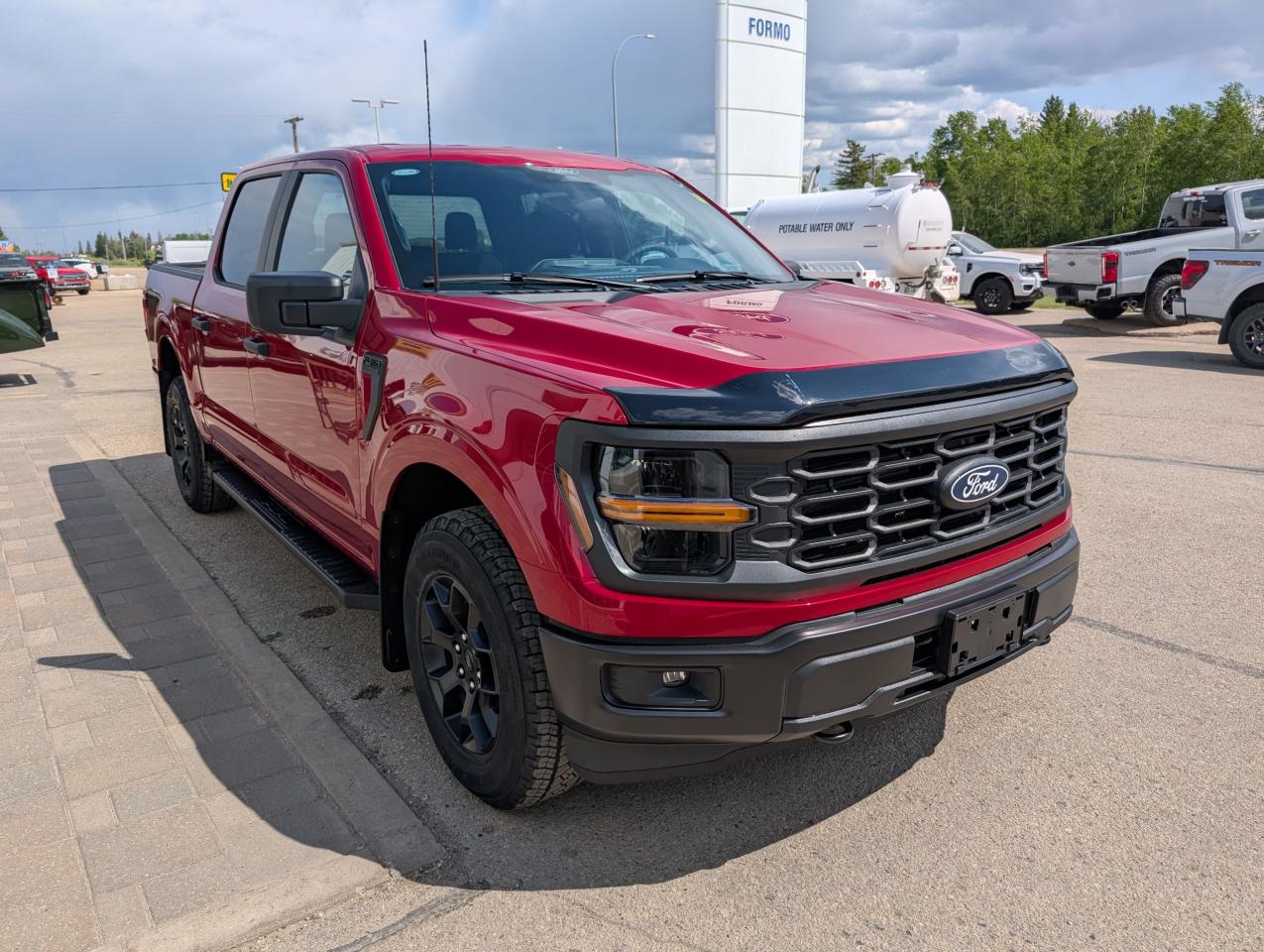 2025 Ford F-150 STX Photo3