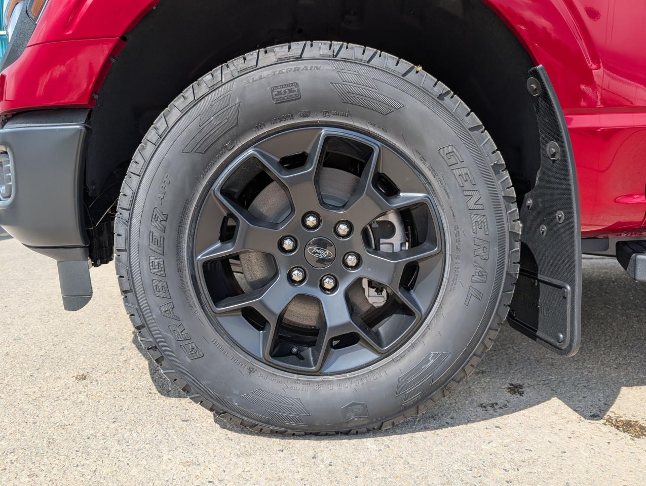 2025 Ford F-150 STX Photo5