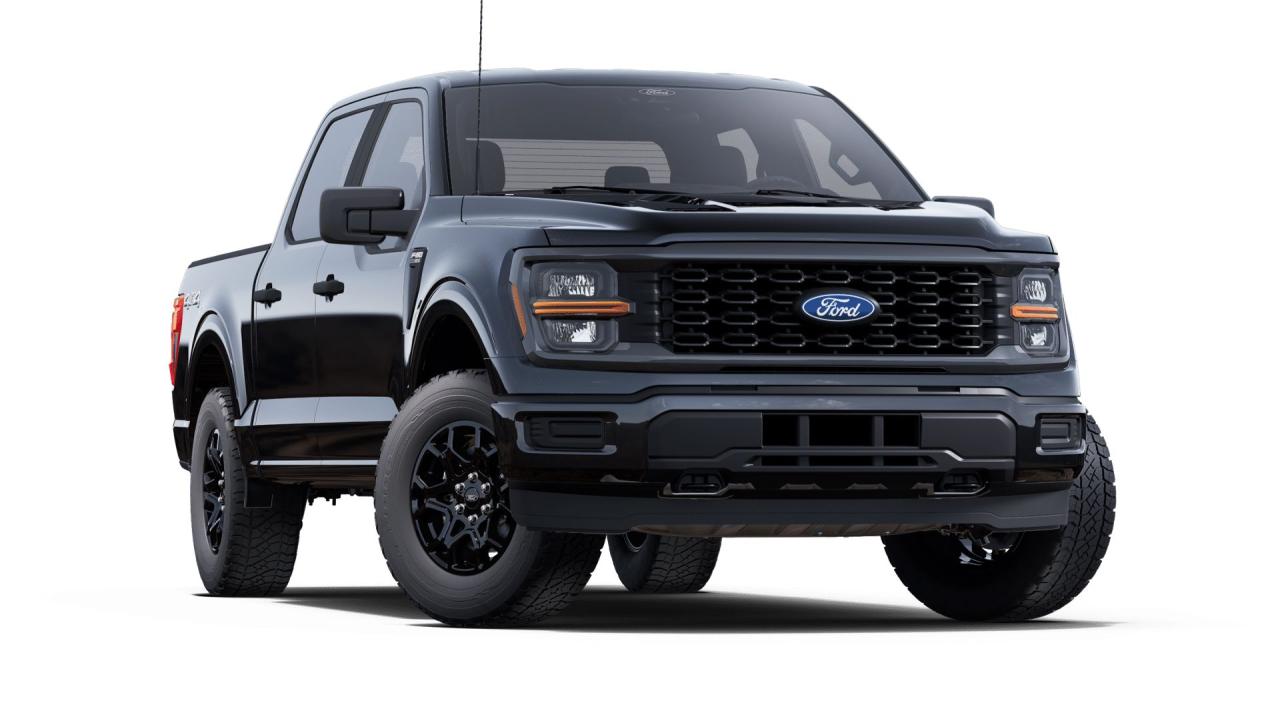 2025 Ford F-150 STX® Photo3