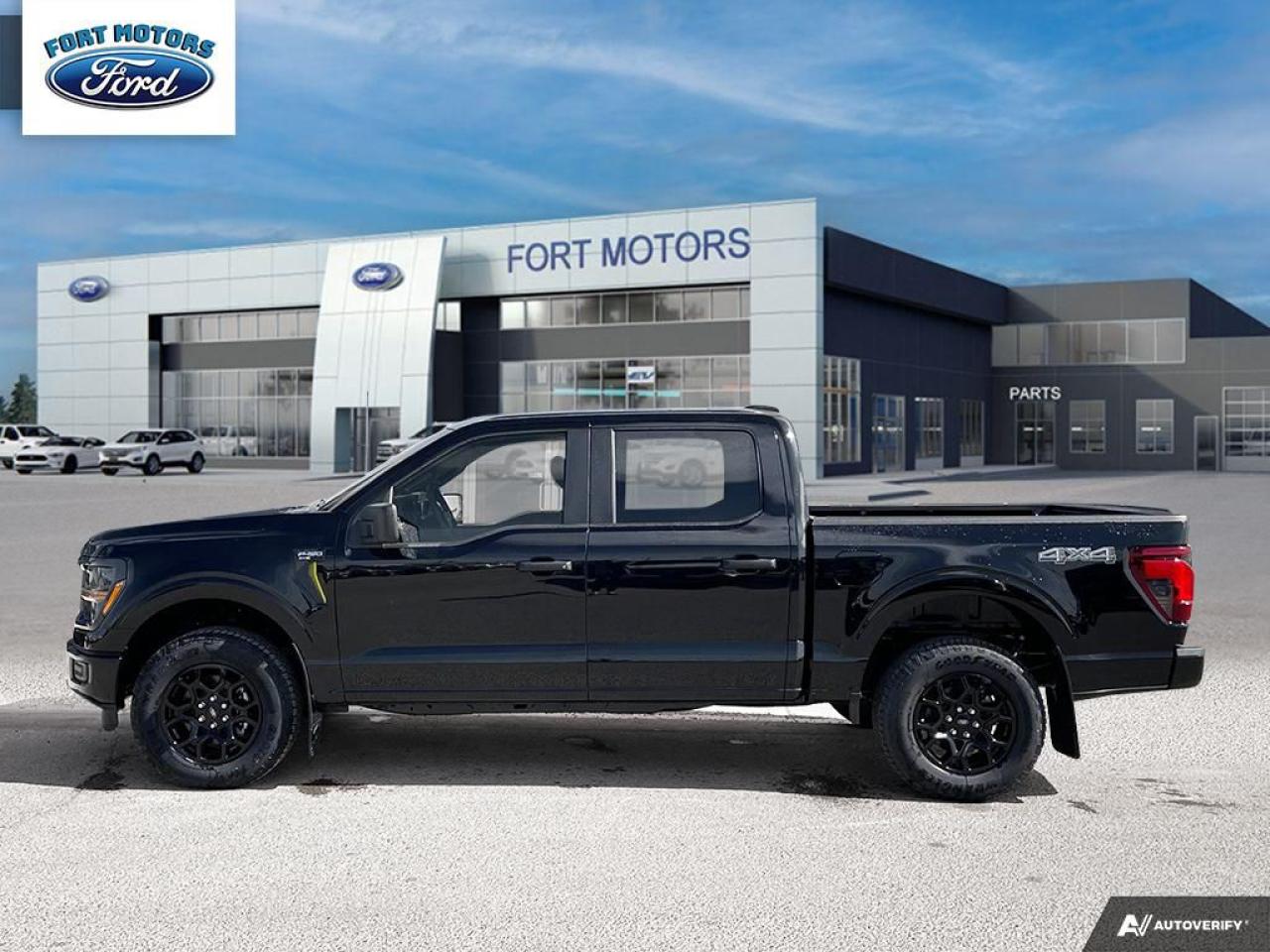 2025 Ford F-150 STX® Photo2