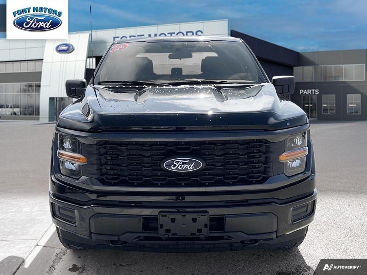 2025 Ford F-150 STX® Photo1
