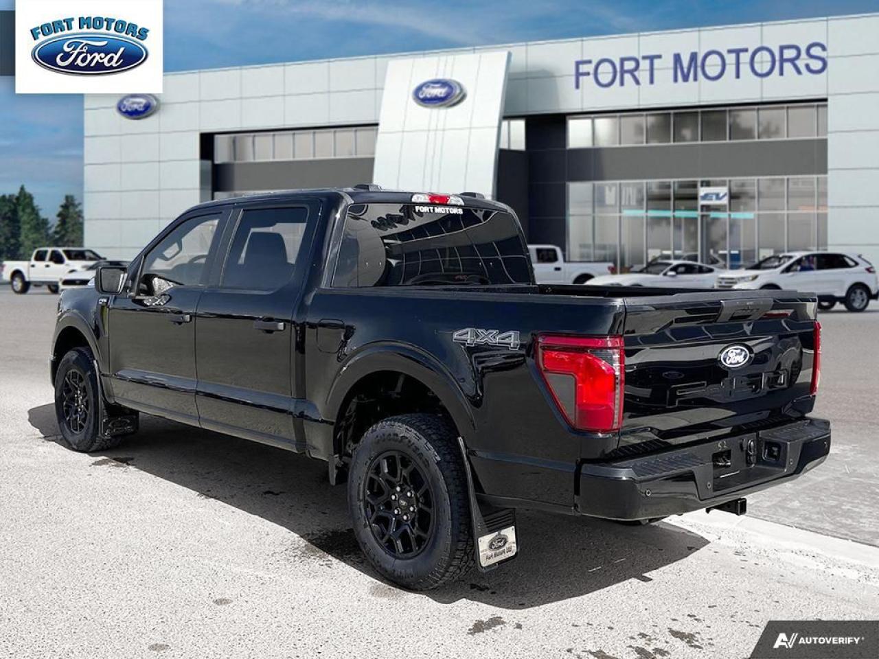 2025 Ford F-150 STX® Photo3