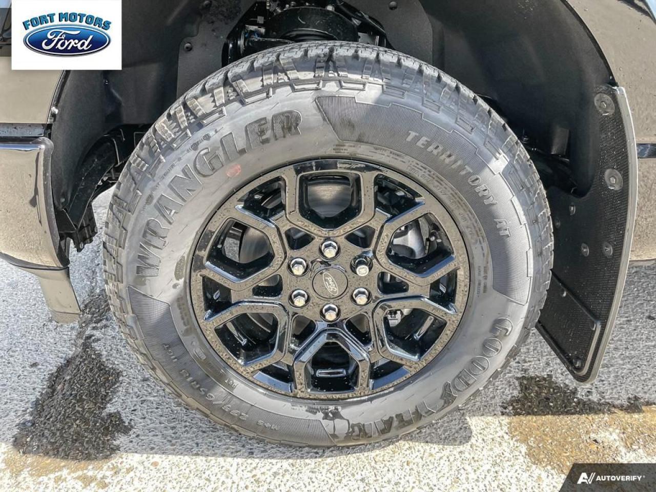 2025 Ford F-150 STX® Photo5