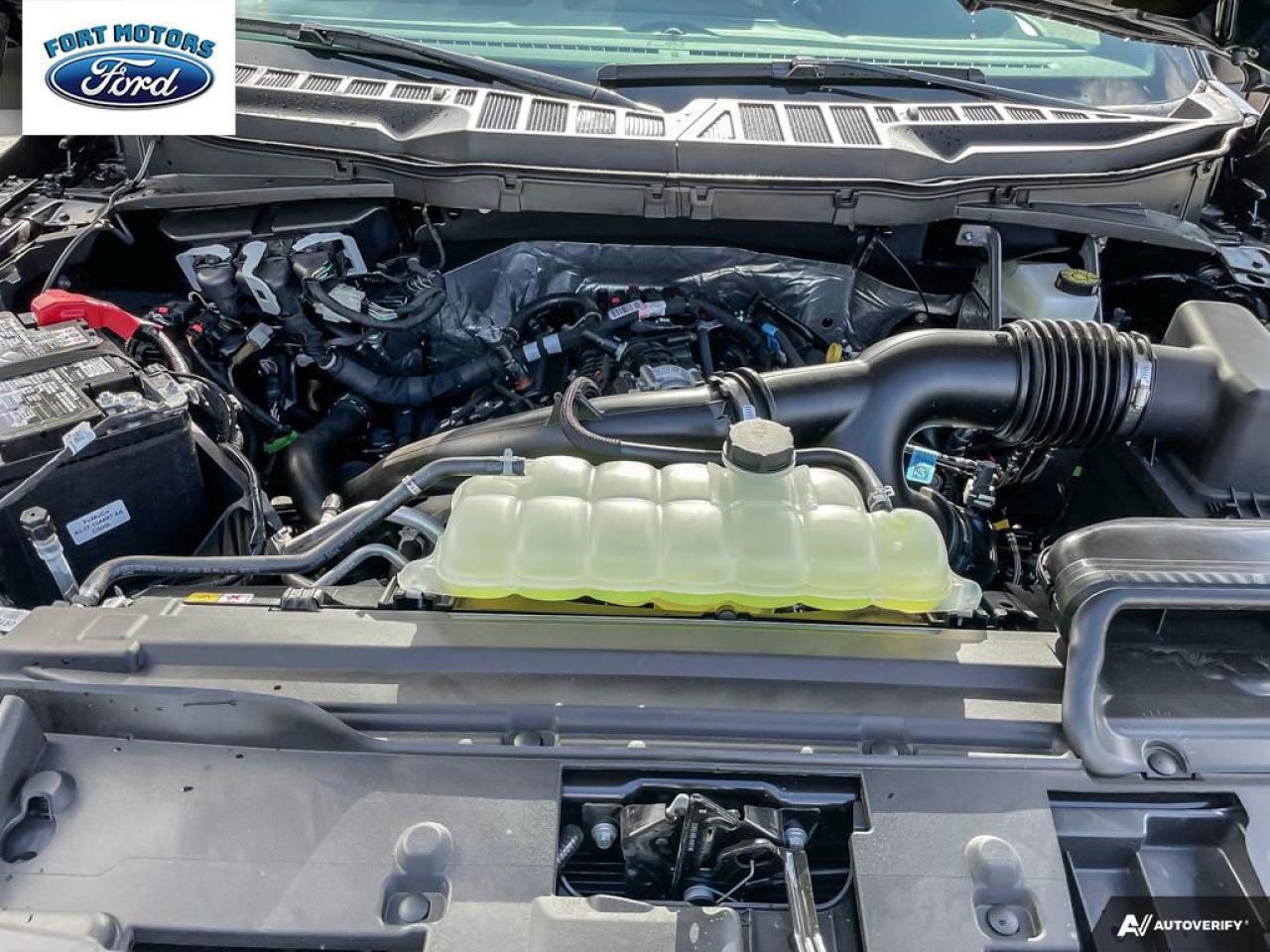 2025 Ford F-150 STX® Photo5