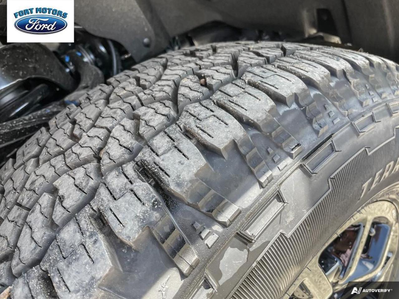 2025 Ford F-150 STX® Photo5