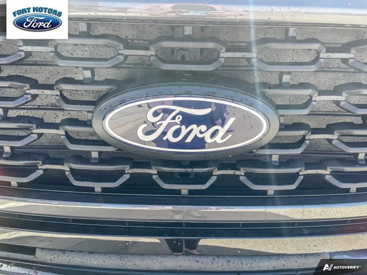2025 Ford F-150 STX® Photo5