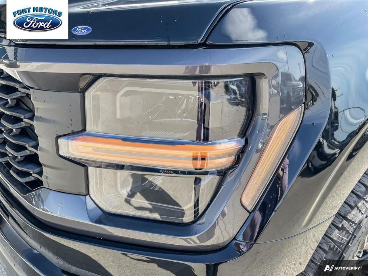 2025 Ford F-150 STX® Photo5