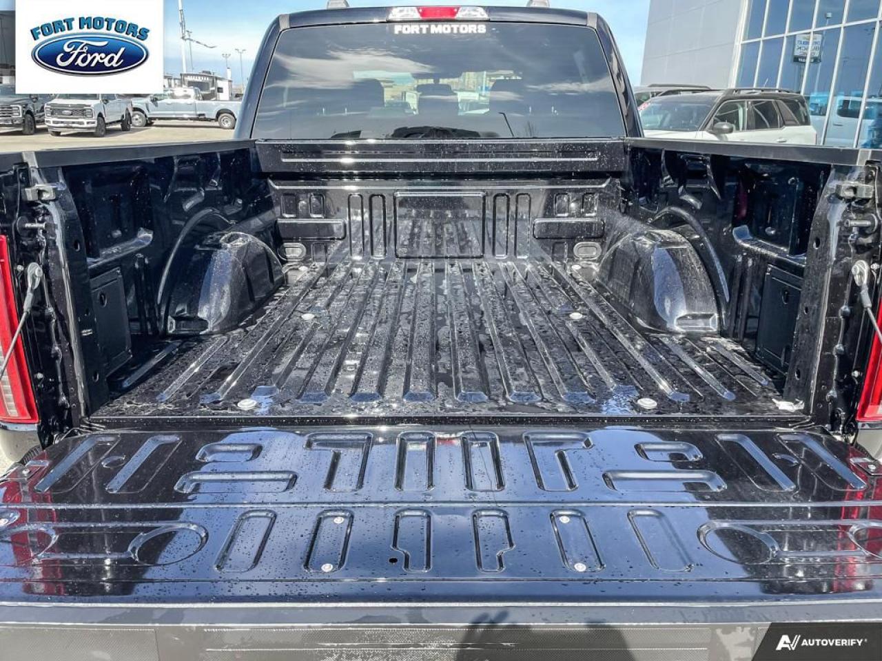 2025 Ford F-150 STX® Photo5