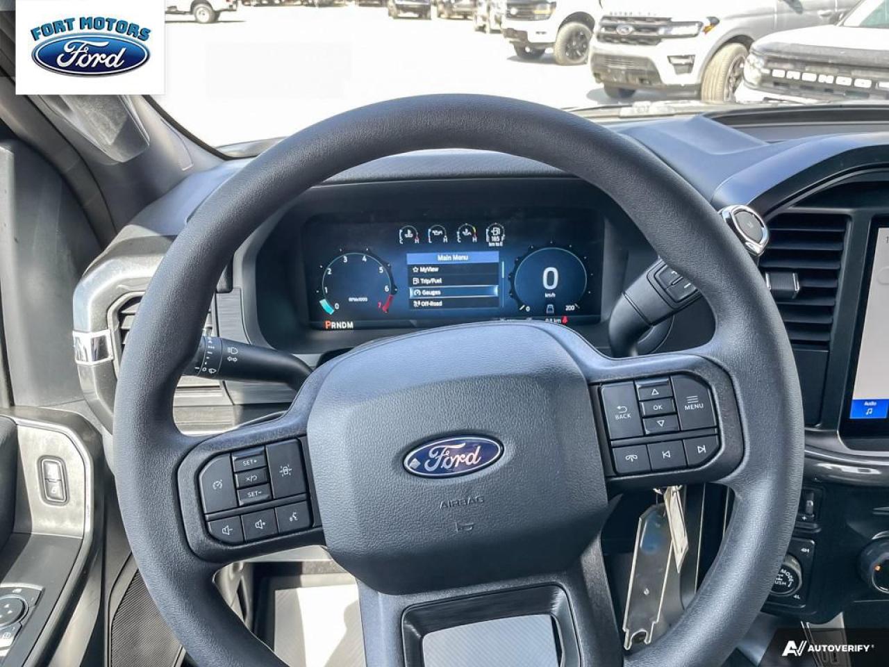 2025 Ford F-150 STX® Photo5
