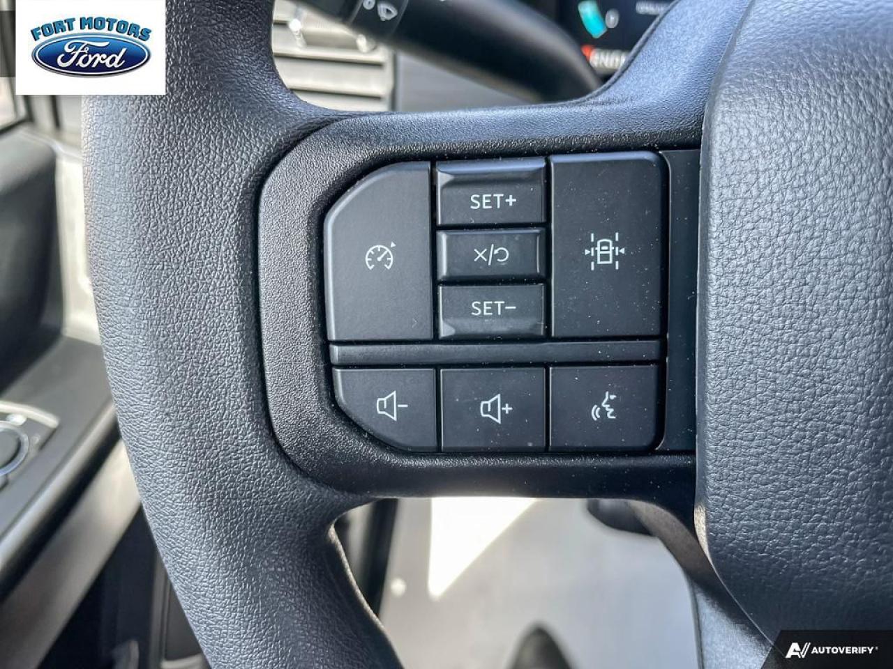 2025 Ford F-150 STX® Photo5