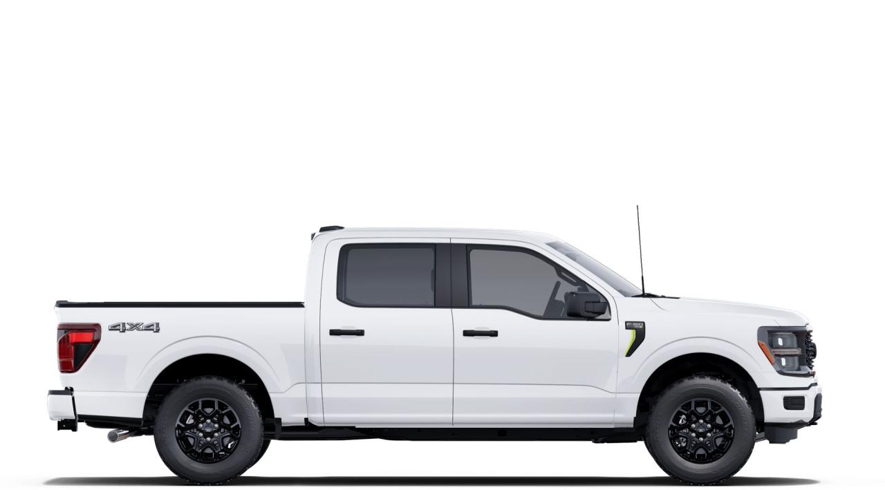 2025 Ford F-150 STX® Photo4