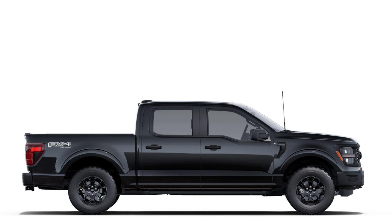 2025 Ford F-150 STX Photo4