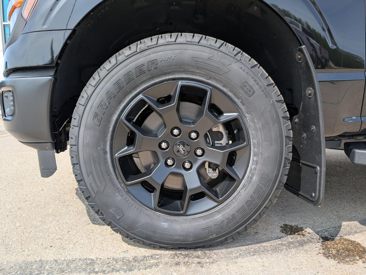2025 Ford F-150 STX Photo5