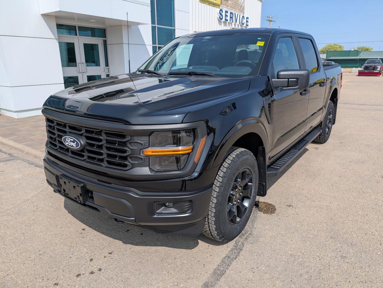 2025 Ford F-150 STX Photo1