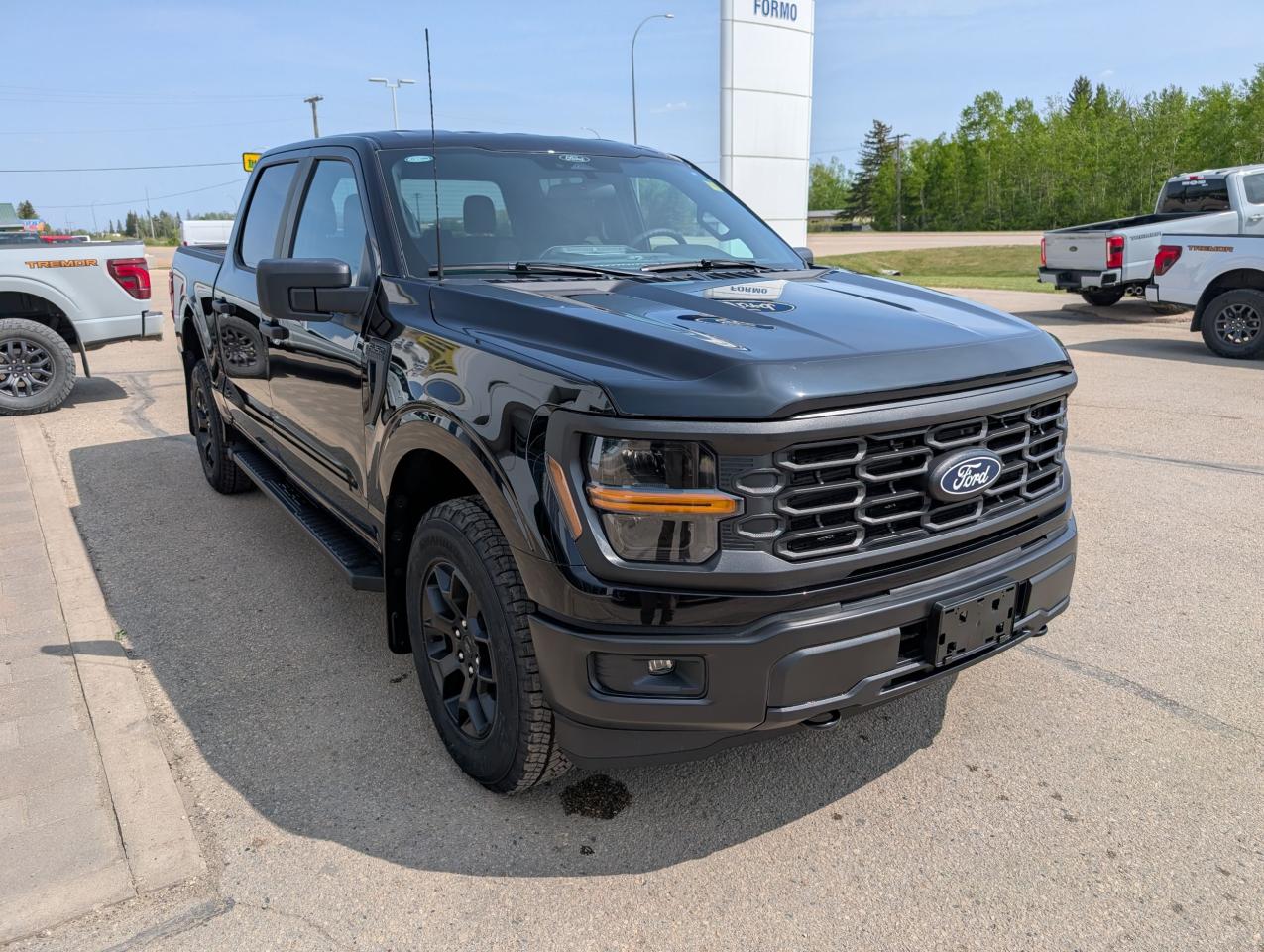 2025 Ford F-150 STX Photo
