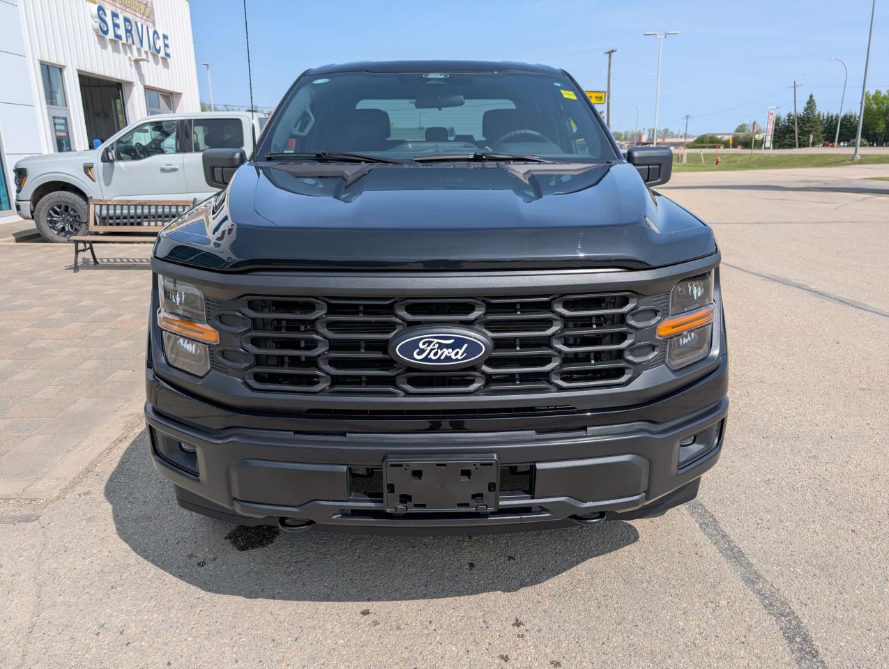 2025 Ford F-150 STX Photo