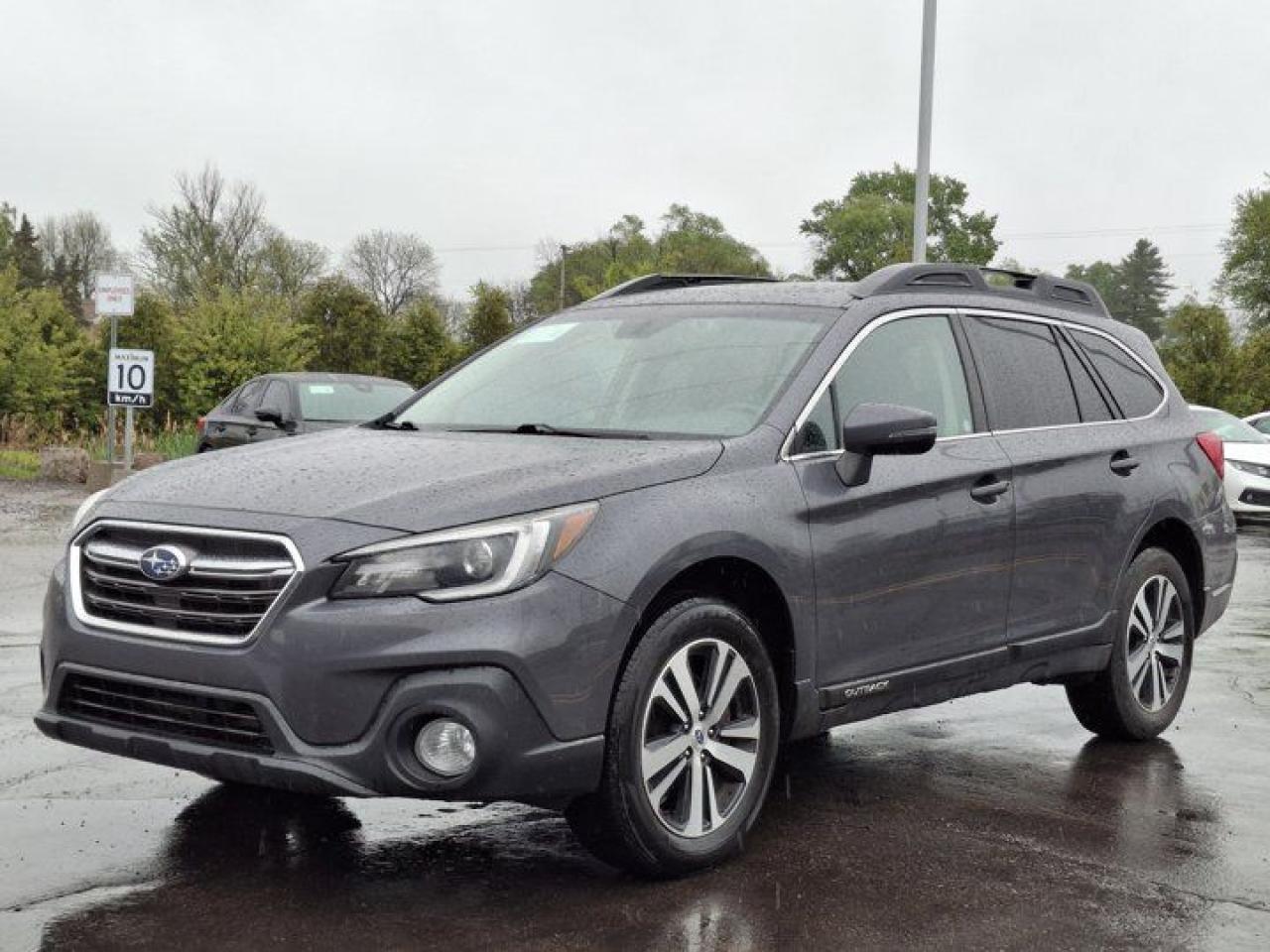 Used 2019 Subaru Outback Limited w/Eyesight | Leather | Sunroof | Nav | Adaptive Cruise | Heated Wheel + Seats | and more! for sale in Guelph, ON