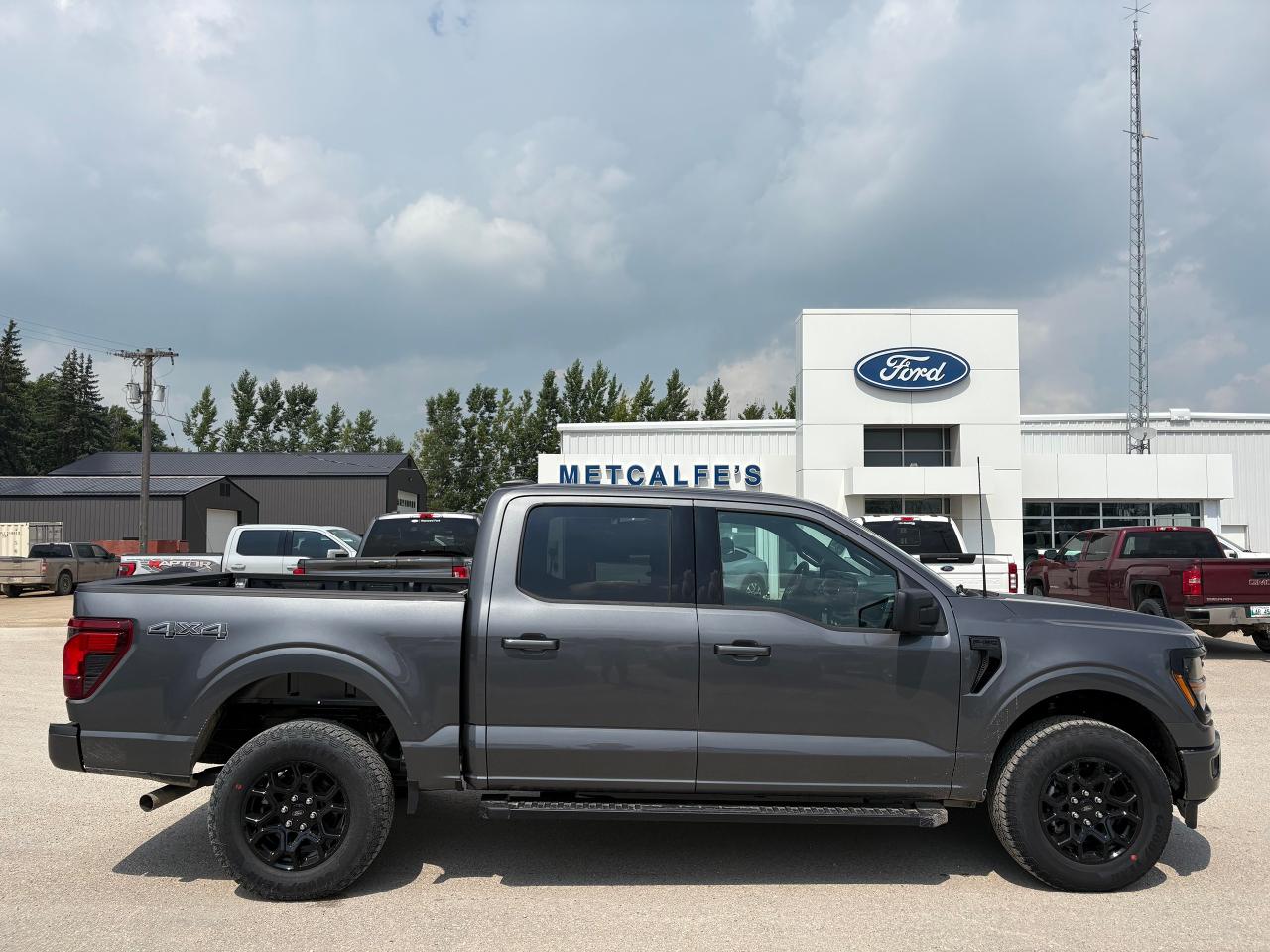New 2025 Ford F-150 XLT 4WD SuperCrew 5.5' Box for sale in Treherne, MB