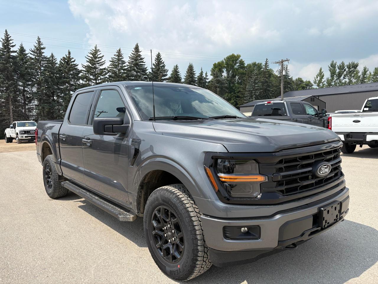 2025 Ford F-150 XLT 4WD SuperCrew 5.5' Box Photo