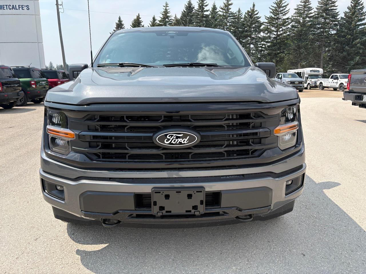 2025 Ford F-150 XLT 4WD SuperCrew 5.5' Box Photo2