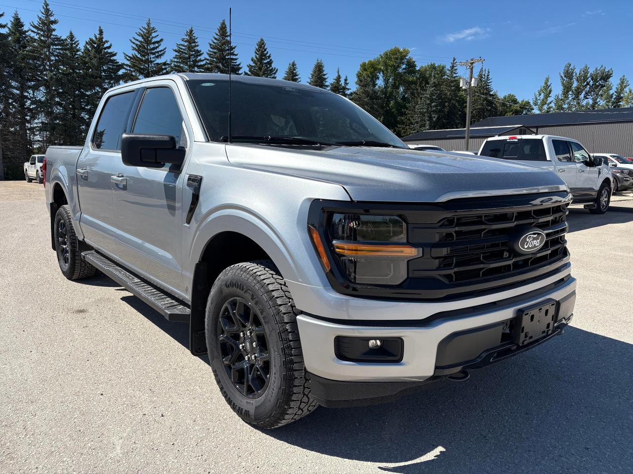 2025 Ford F-150 XLT 4WD SuperCrew 5.5' Box Photo5