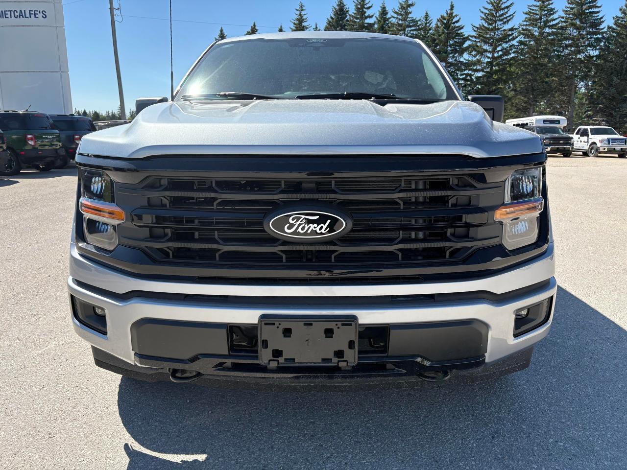2025 Ford F-150 XLT 4WD SuperCrew 5.5' Box Photo