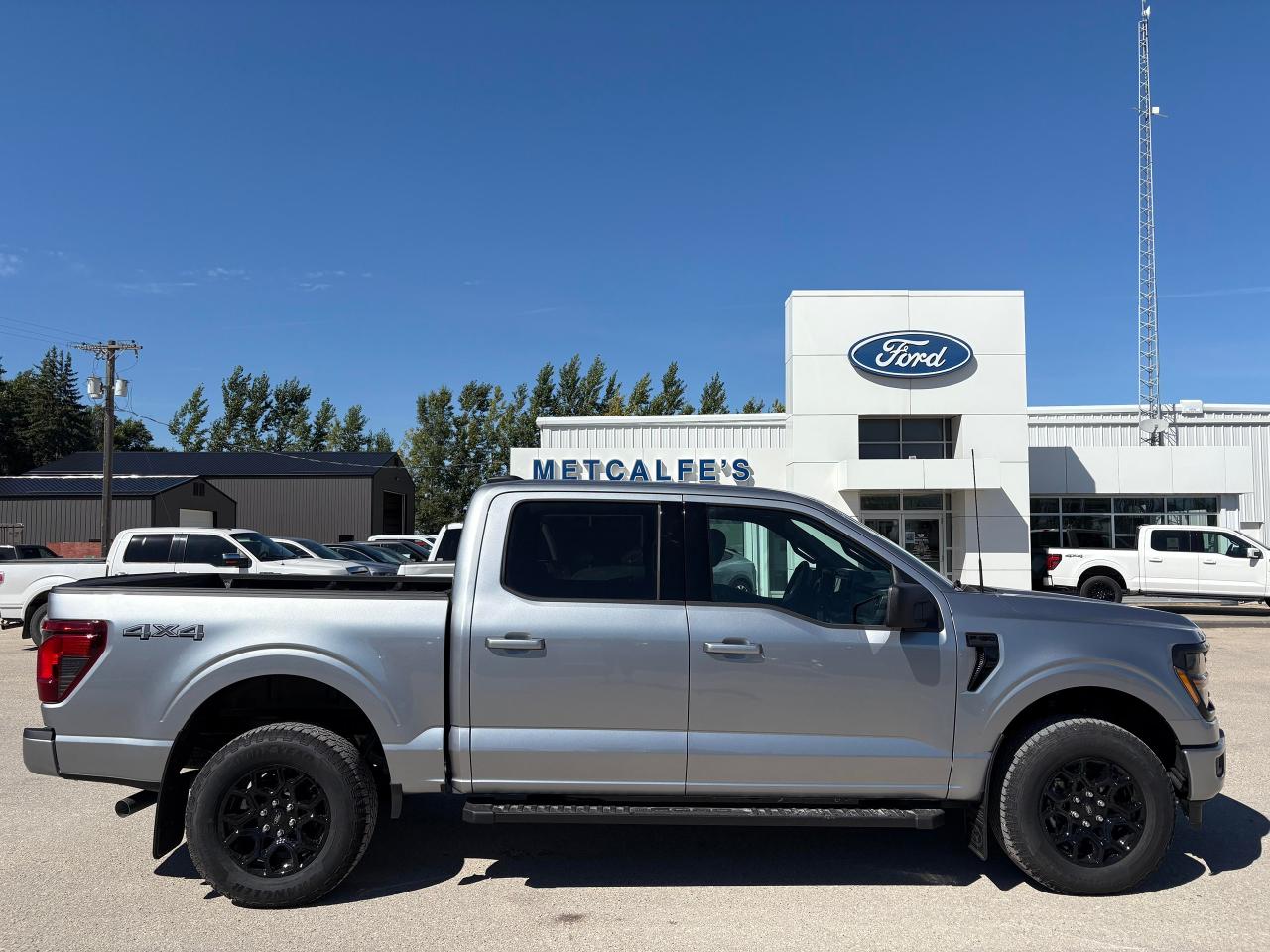 New 2025 Ford F-150 XLT 4WD SuperCrew 5.5' Box for sale in Treherne, MB