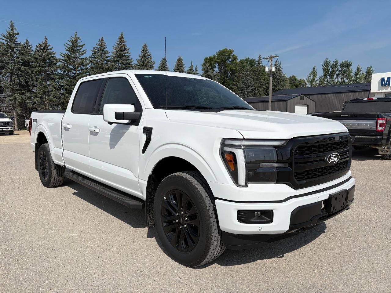 2025 Ford F-150 Lariat 4WD SuperCrew 6.5' Box Photo3