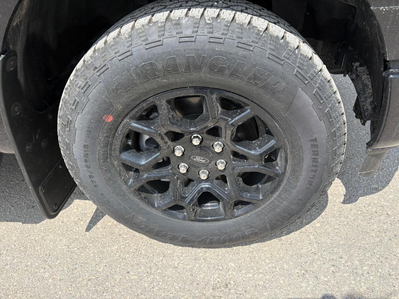 2025 Ford F-150 XLT 4WD SuperCrew 5.5' Box Photo5