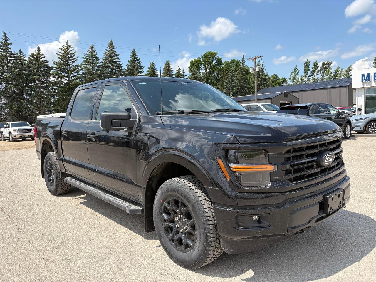 2025 Ford F-150 XLT 4WD SuperCrew 5.5' Box Photo3