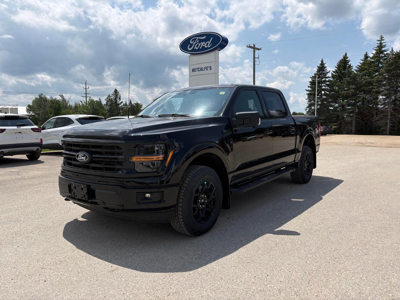 2025 Ford F-150 XLT 4WD SuperCrew 5.5' Box Photo1
