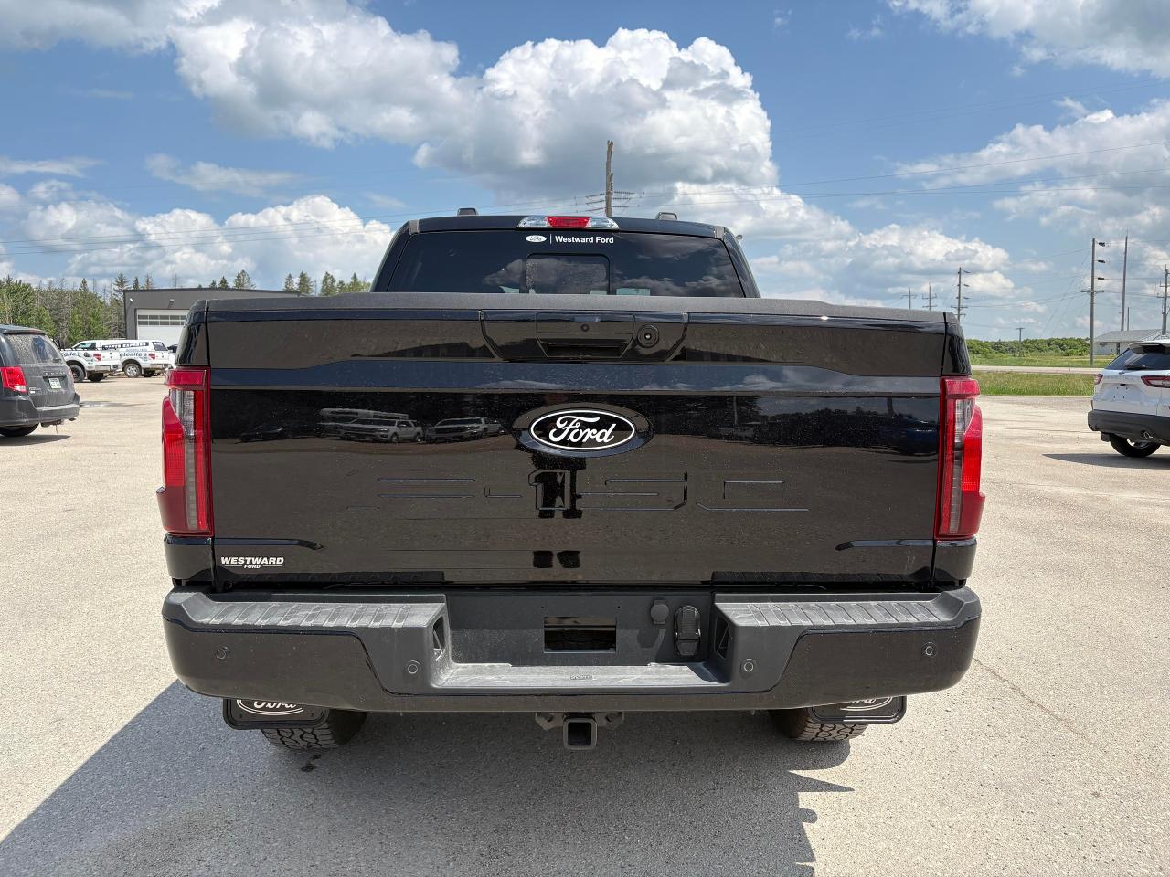2025 Ford F-150 XLT 4WD SuperCrew 5.5' Box Photo5