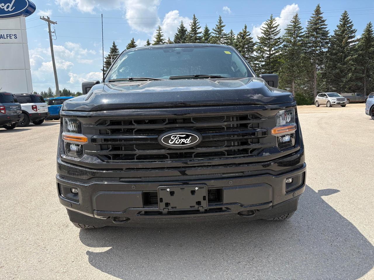 2025 Ford F-150 XLT 4WD SuperCrew 5.5' Box Photo2
