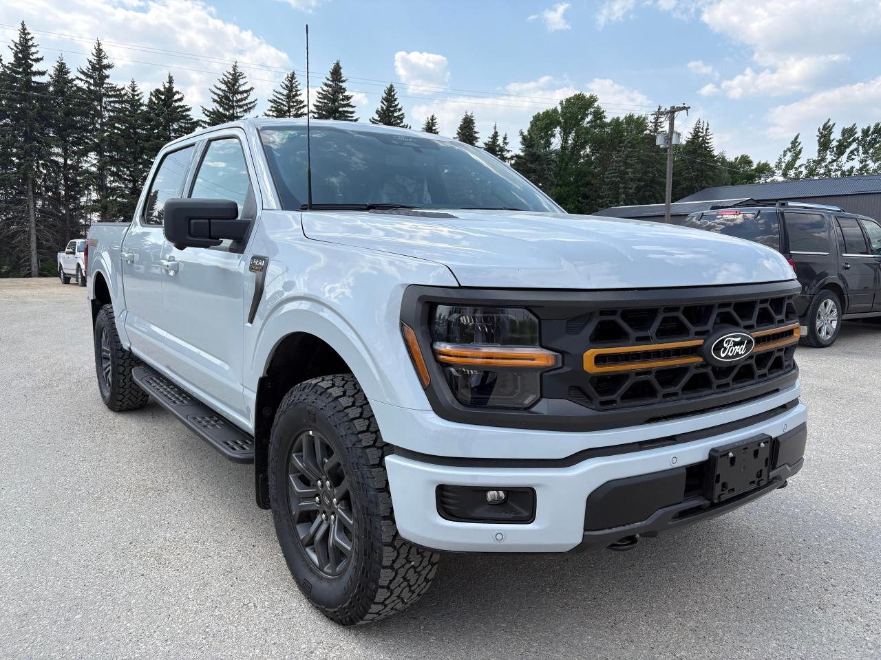 2025 Ford F-150 Tremor 4WD SuperCrew 5.5' Box Photo
