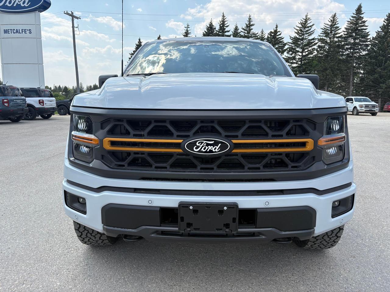 2025 Ford F-150 Tremor 4WD SuperCrew 5.5' Box Photo2