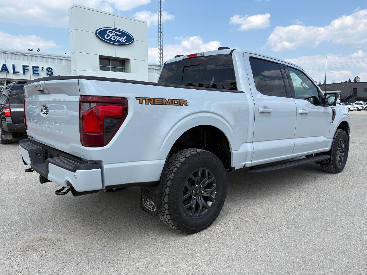 2025 Ford F-150 Tremor 4WD SuperCrew 5.5' Box Photo4