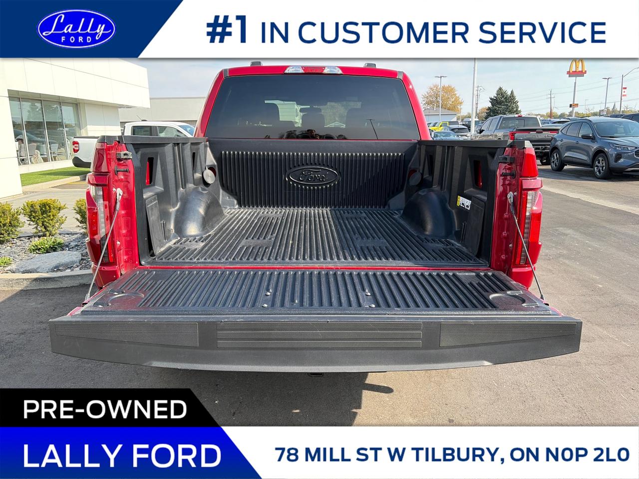 2025 Ford F-150 XLT Photo4