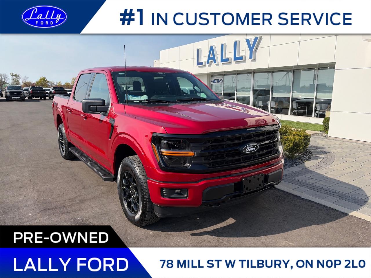 Used 2025 Ford F-150 XLT for sale in Tilbury, ON