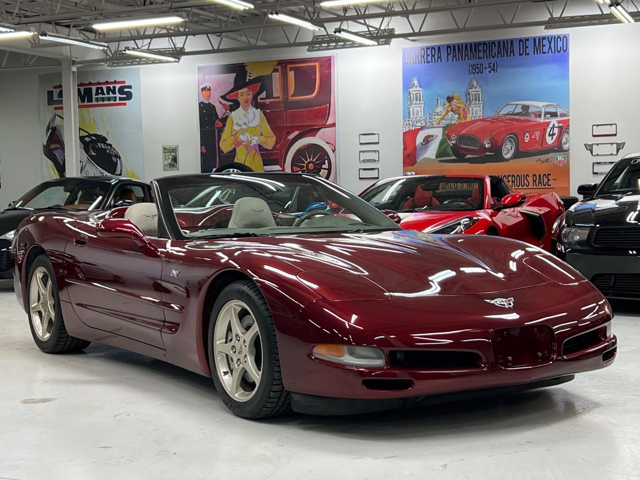 Used 2003 Chevrolet Corvette 50th ANNIVERSARY EDITION for sale in Paris, ON