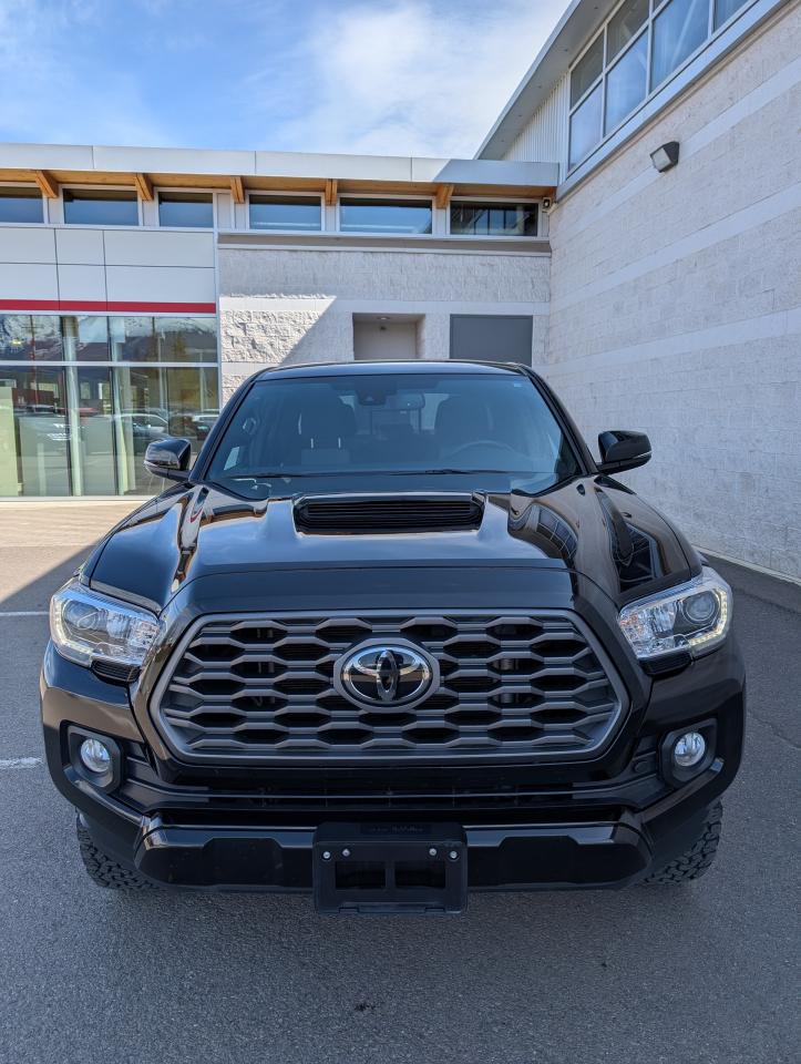2023 Toyota Tacoma TRD SPORT 6'BOX Photo1