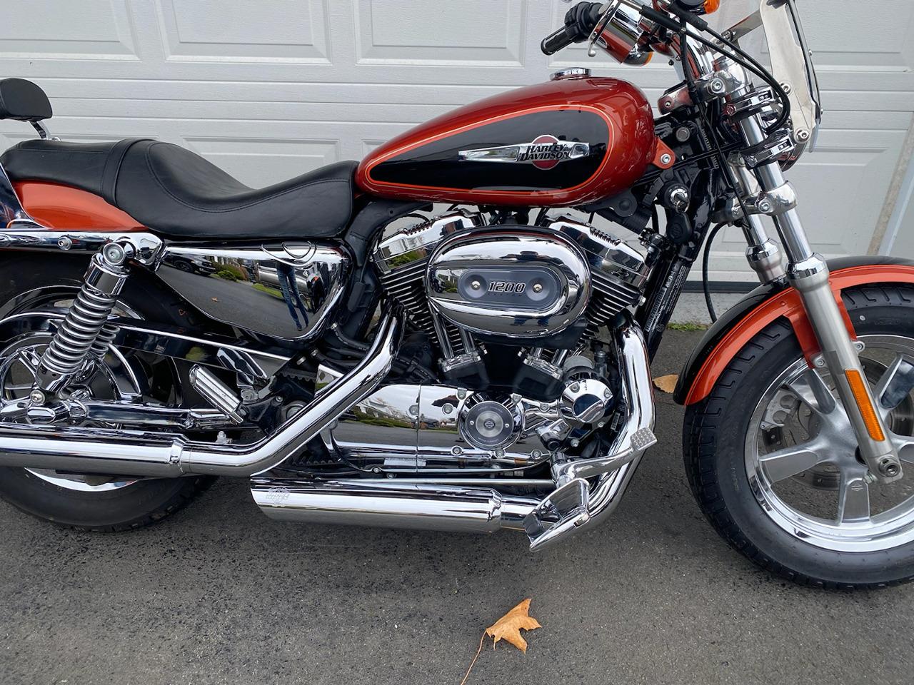 2011 Harley-Davidson Sportster 1200 Custom - Photo #3