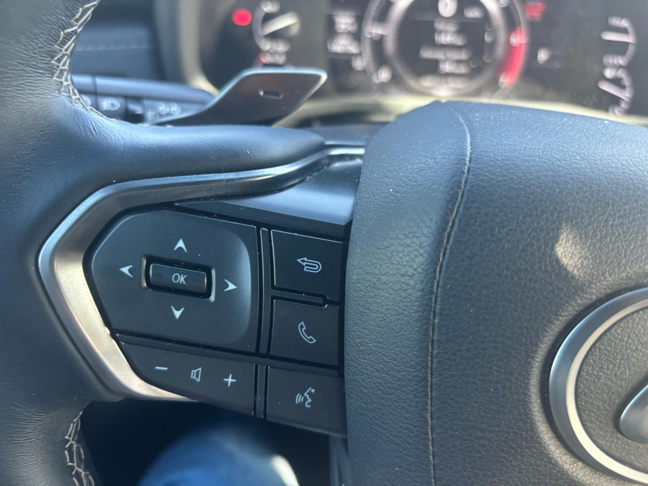 2024 Lexus LX LX 600, Loaded, P. Tailgate, Sunroof, Alloys, - Photo #7