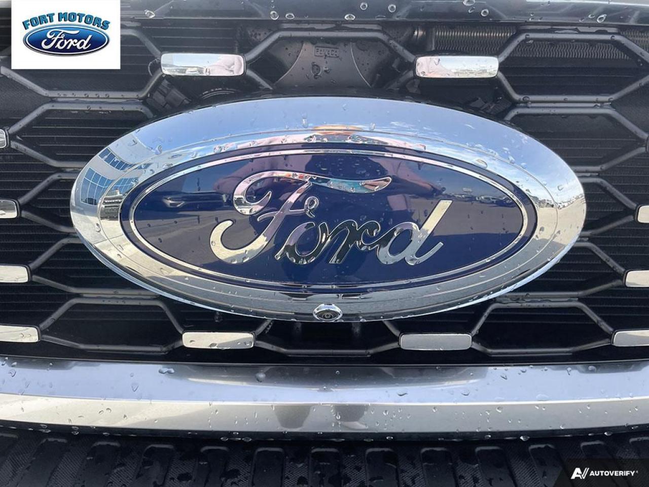2025 Ford SUPERDUTY F-350® King Ranch® Photo5