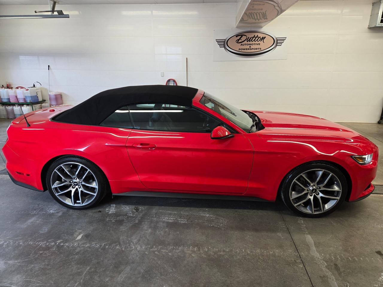 Used 2016 Ford Mustang EcoBoost Premium for sale in Owen Sound, ON