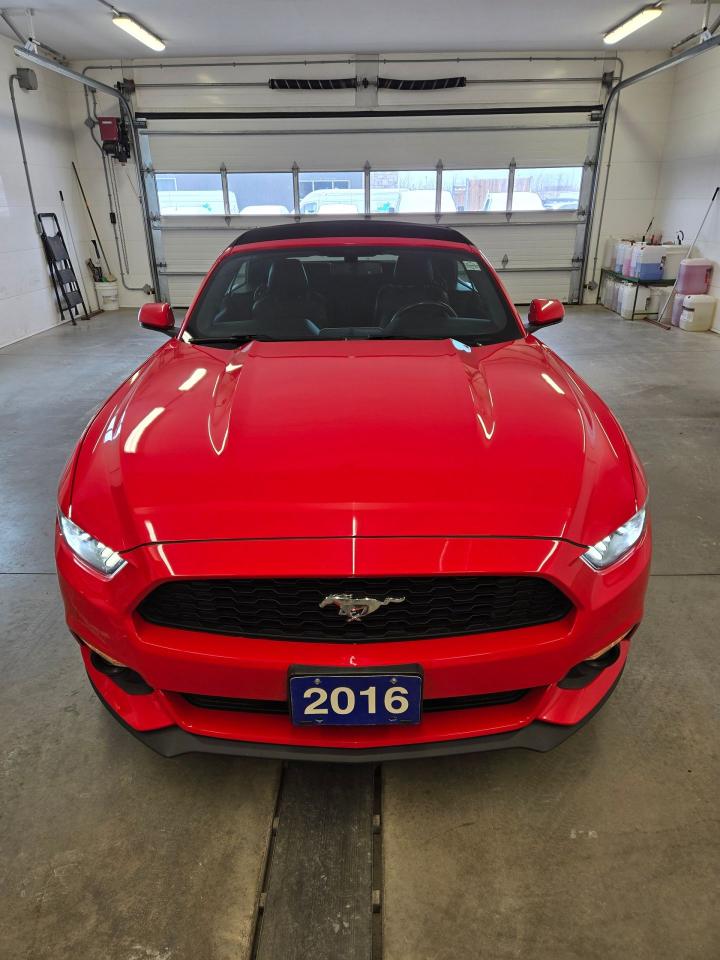 2016 Ford Mustang EcoBoost Premium Photo