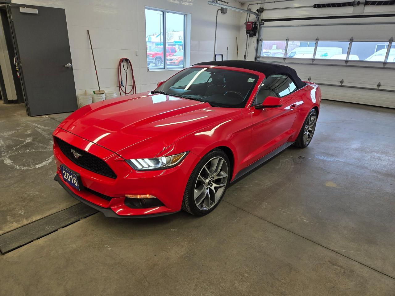 2016 Ford Mustang EcoBoost Premium Photo