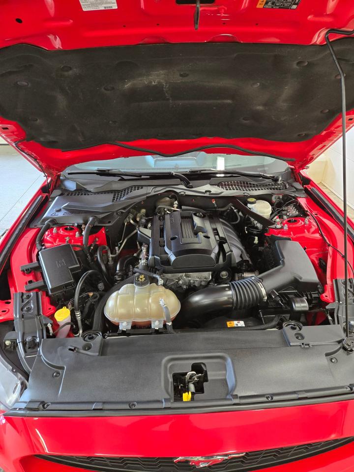 2016 Ford Mustang EcoBoost Premium Photo