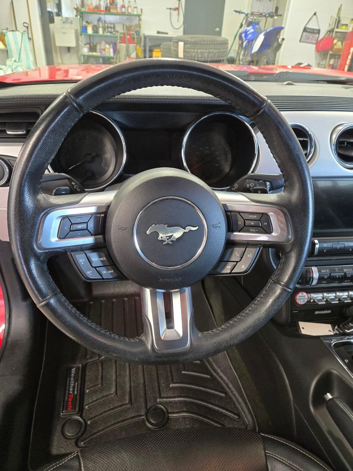 2016 Ford Mustang EcoBoost Premium Photo