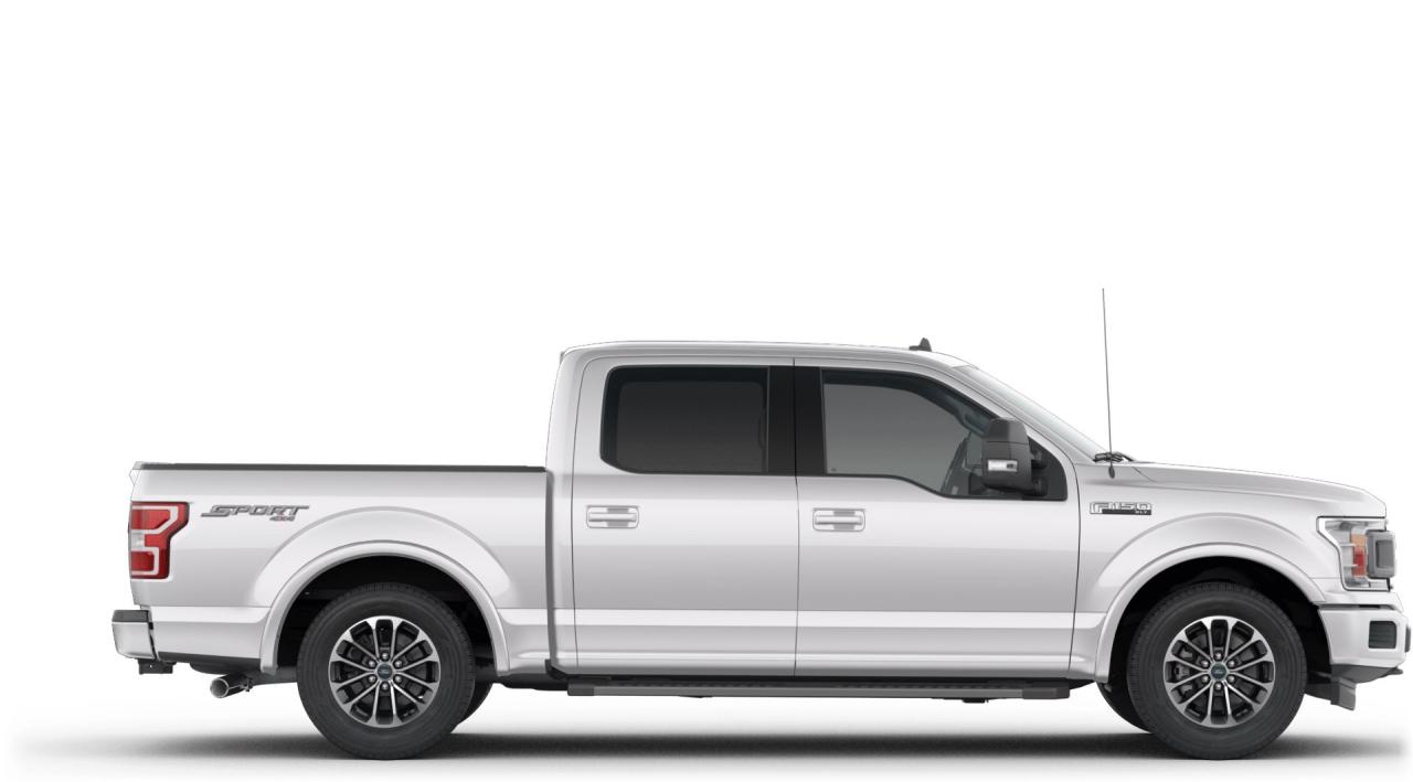 2019 Ford F-150  Photo4