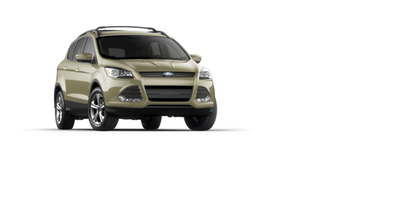 2013 Ford Escape SE Photo3